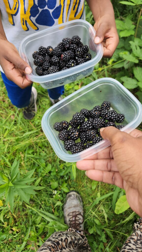 yes to home-grown berries